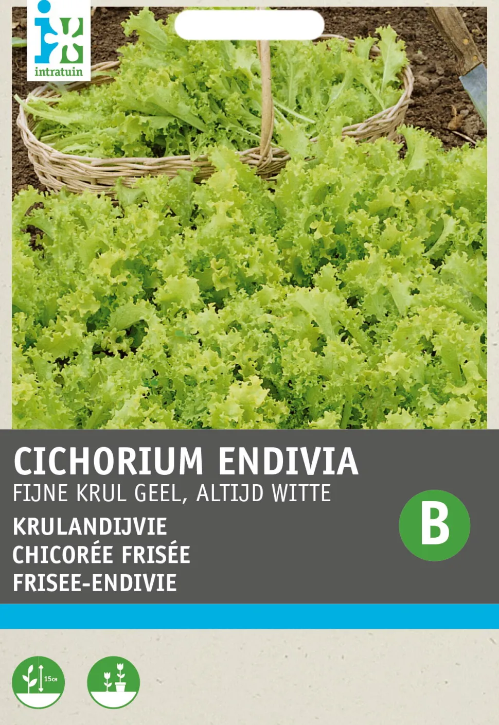 Intratuin Frisee-Endivie (Cichorium endivia 'Altijd Witte') Samen