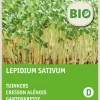 Intratuin Gartenkresse (Lepidium sativum) (BIO) Kressesamen