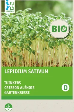 Intratuin Gartenkresse (Lepidium sativum) (BIO) Kressesamen