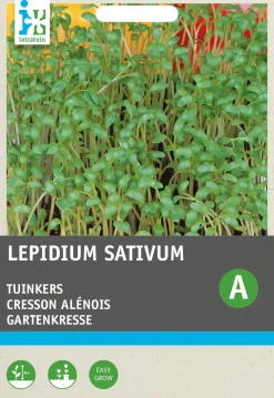 Intratuin Gartenkresse (Lepidium sativum) Kressesamen