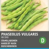 Intratuin Gemüsesamen Buschbohnen (Phaseolus vulgaris 'Record')