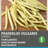 Intratuin Gemüsesamen Buschbohnen (Phaseolus vulgaris 'Gondola')