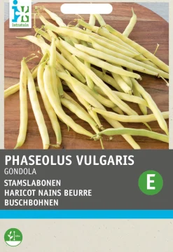 Intratuin Gemüsesamen Buschbohnen (Phaseolus vulgaris 'Gondola')