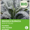 Intratuin Gemüsesamen Palmkohl (Brassica oleracea 'Nero di Toscane') (BIO) Samen