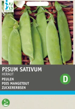 Intratuin Gemüsesamen Zuckererbsen (Pisum sativum 'Heraut')