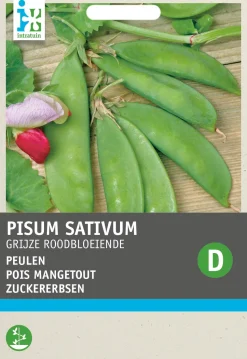 Intratuin Gemüsesamen Zuckererbsen (Pisum sativum 'Grijze Roodbloeiende')