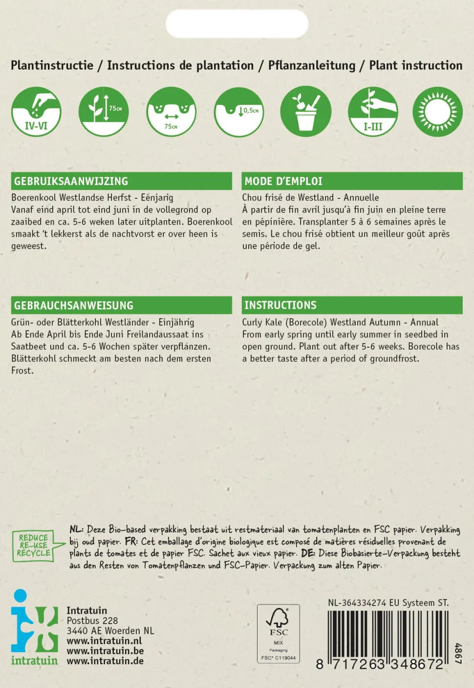 Intratuin Grünkohl (Brassica oleracea 'Westlandse Herfst') Samen