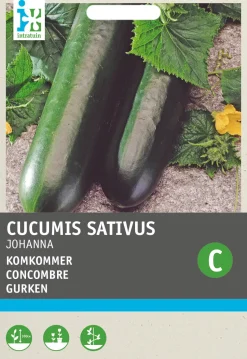 Intratuin Gurke (Cucumis sativus 'Johanna') Samen