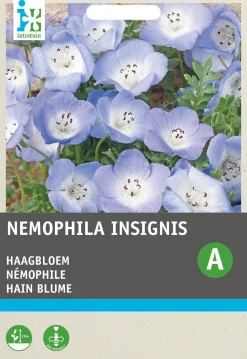 Intratuin Hainblume himmelblau (Nemophila insignis) Blumensamen