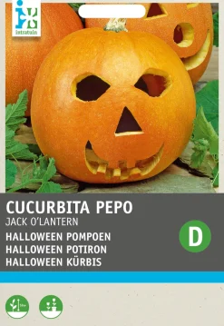 Intratuin Halloween Kürbis (Cucurbita pepo 'Jack O'Lantern') Samen