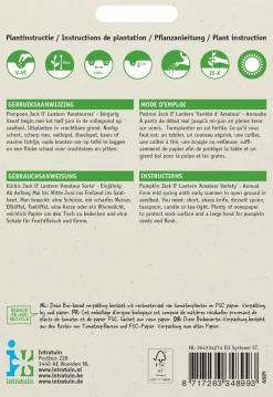 Intratuin Halloween Kürbis (Cucurbita pepo 'Jack O'Lantern') Samen