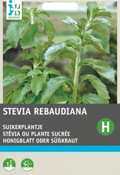 Intratuin Honigblatt / Süßkraut (Stevia reboudiana) Samen