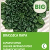 Intratuin Japanische Tatsoi (Brassica narinosa) (BIO) Samen