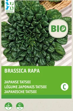 Intratuin Japanische Tatsoi (Brassica narinosa) (BIO) Samen