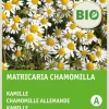 Intratuin Kamille (Matricaria chamomilla) (BIO) Samen