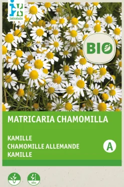 Intratuin Kamille (Matricaria chamomilla) (BIO) Samen