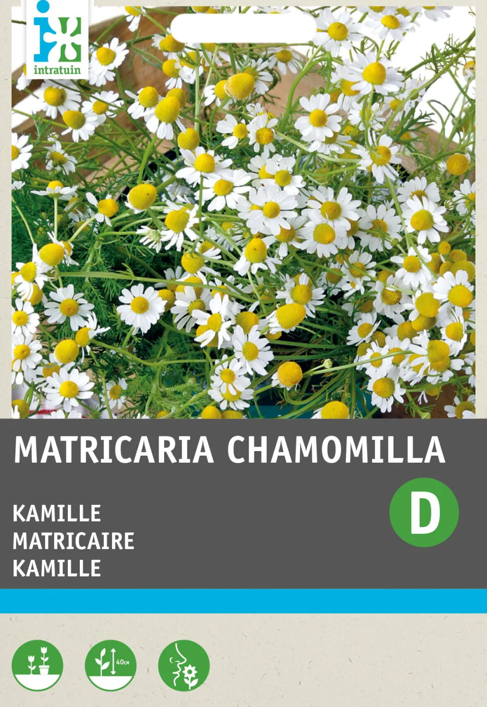 Intratuin Kamille (Matricaria chamomilla) Samen
