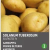 Intratuin Kartoffel (Solanum tuberosum 'Soltastic F1') (BIO) Samen