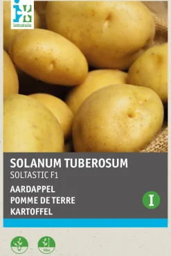 Intratuin Kartoffel (Solanum tuberosum 'Soltastic F1') (BIO) Samen