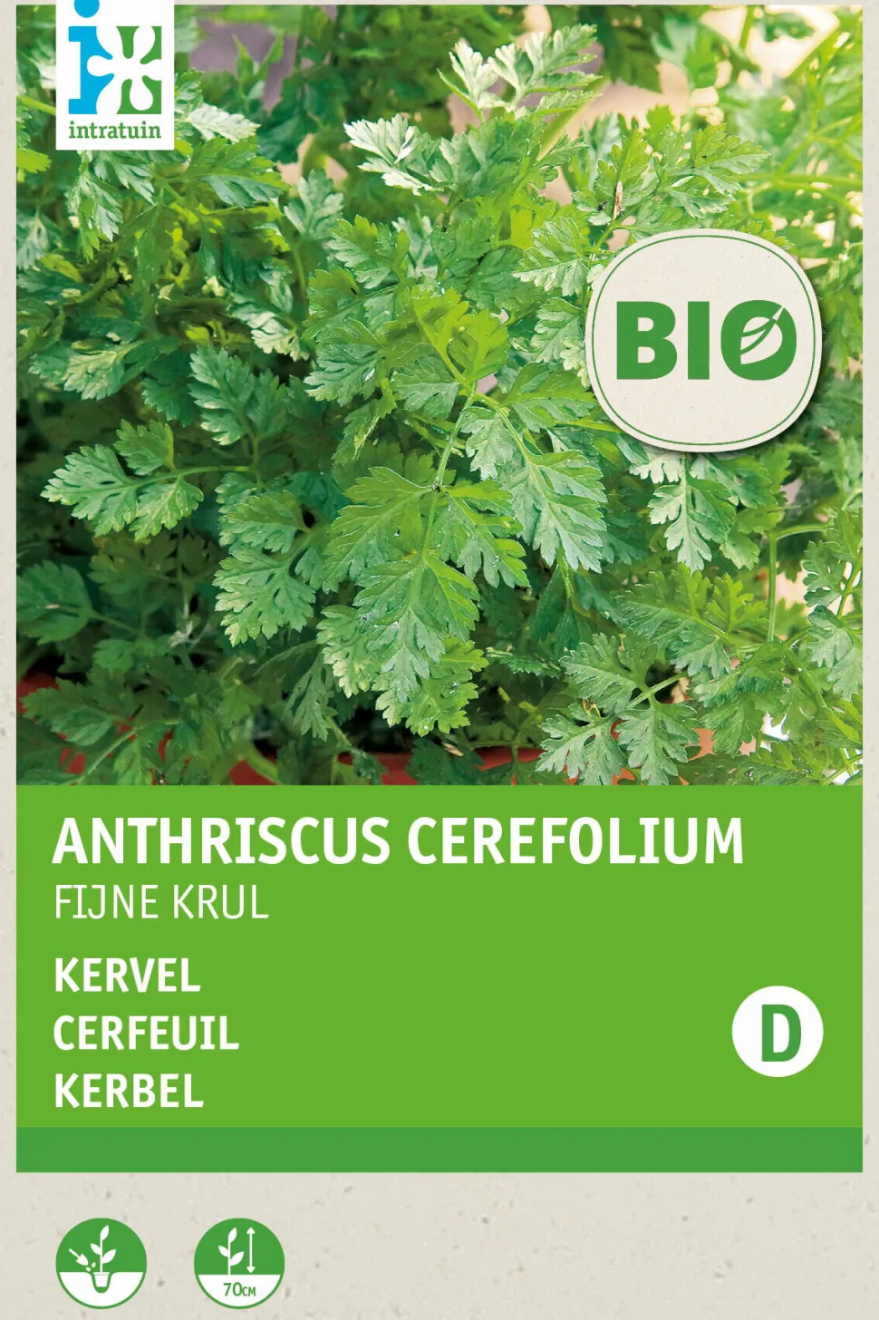 Intratuin Kerbel fein (Anthriscus cerefolium) (BIO) Samen
