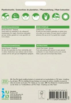 Intratuin Kerbel kraus (Anthriscus cerfolium 'Krauser') Samen