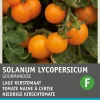 Intratuin Kirschtomate gelb (Solanum lycopersicum 'Gourmandise') Samen
