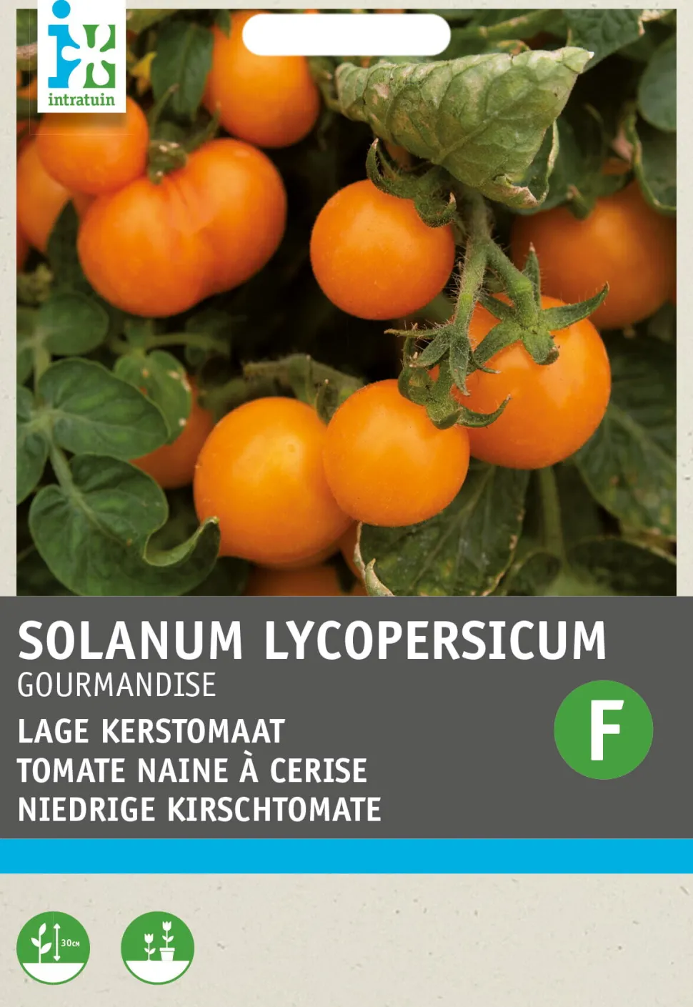 Intratuin Kirschtomate gelb (Solanum lycopersicum 'Gourmandise') Samen