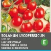 Intratuin Kirschtomate (Solanum lycopersicum 'Tiny Tim') Samen