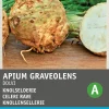 Intratuin Knollensellerie (Apium graveolens 'Dolvi Prager Riese') Samen