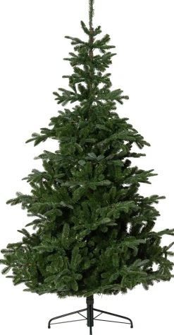 Intratuin Künstlicher Weihnachtsbaum Nordman grün D 130 H 210 cm mit 800 LEDs warmweiß