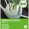 Intratuin Kohlrabi (Brassica oleracea 'Korist') (BIO) Samen