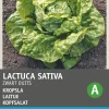 Intratuin Kopfsalat (Lactuca sativa 'Fürchtenichts') Samen