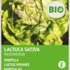 Intratuin Kopfsalat (Lactuca savita 'Maikönig') (BIO) Samen