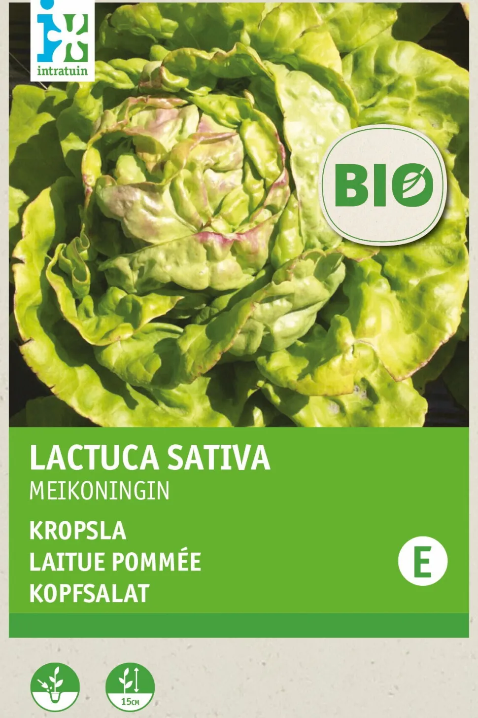 Intratuin Kopfsalat (Lactuca savita 'Maikönig') (BIO) Samen