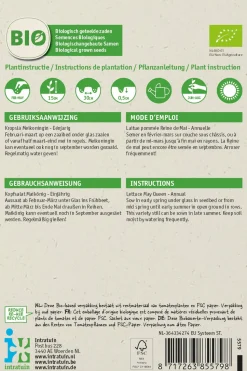 Intratuin Kopfsalat (Lactuca savita 'Maikönig') (BIO) Samen