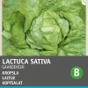 Intratuin Kopfsalat (Lactuca sativa 'Gärtnerstolz') Samen