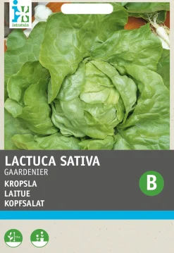 Intratuin Kopfsalat (Lactuca sativa 'Gärtnerstolz') Samen