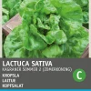 Intratuin Kopfsalat (Lactuca sativa 'Neckarriesen') Samen