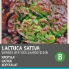 Intratuin Kopfsalat (Lactuca sativa 'Besson') Samen