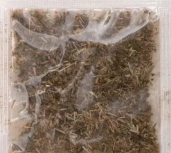 Intratuin Kratzkarton Welle 53 x 20 x 10 cm