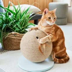 Intratuin Kratzkugel braun/weiß D 25 H 30 cm