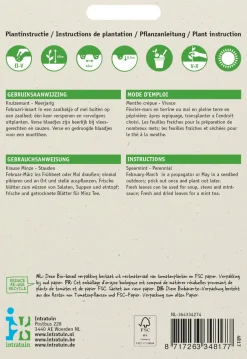 Intratuin Krause Minze (Mentha spicata) Samen