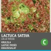 Intratuin Krauser Kopfsalat (Lactuca sativa 'Lollo Rossa') Samen