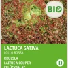 Intratuin Krauser Kopfsalat (Lactuca sativa 'Lollo Rosso') (BIO) Samen