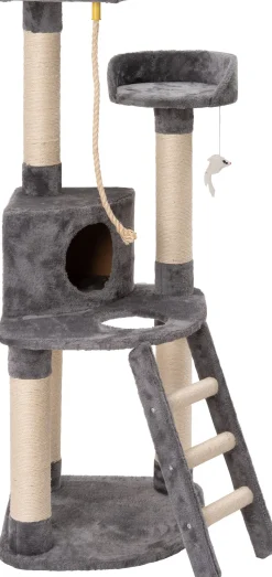 Intratuin Krautzbaum Evi grau 49 x 49 x 131 cm