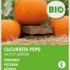 Intratuin Kürbis (Cucurbita 'Jack O'Lantern') (BIO) Samen