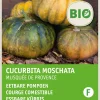 Intratuin Kürbis essbar (Cucurbita moschata 'Musquee de Procence') (BIO) Samen