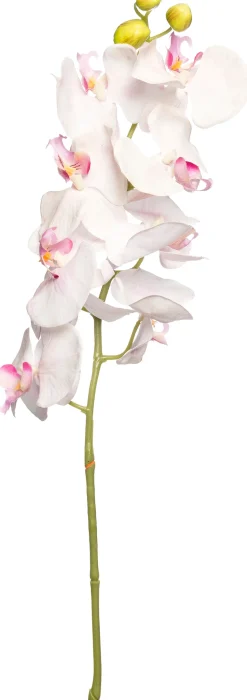 Intratuin Kunstblume Orchidee hellrosa H 100 cm
