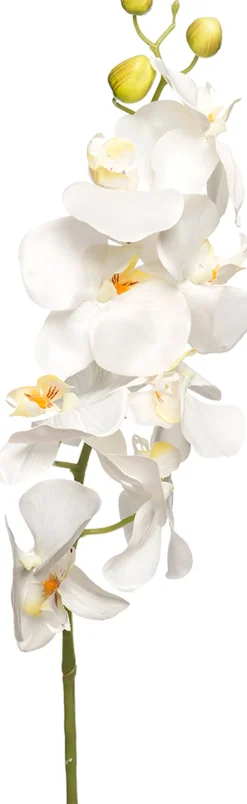 Intratuin Kunstblume Orchidee weiß H 100 cm