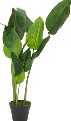 Intratuin Kunstpflanze Banane H 76 cm